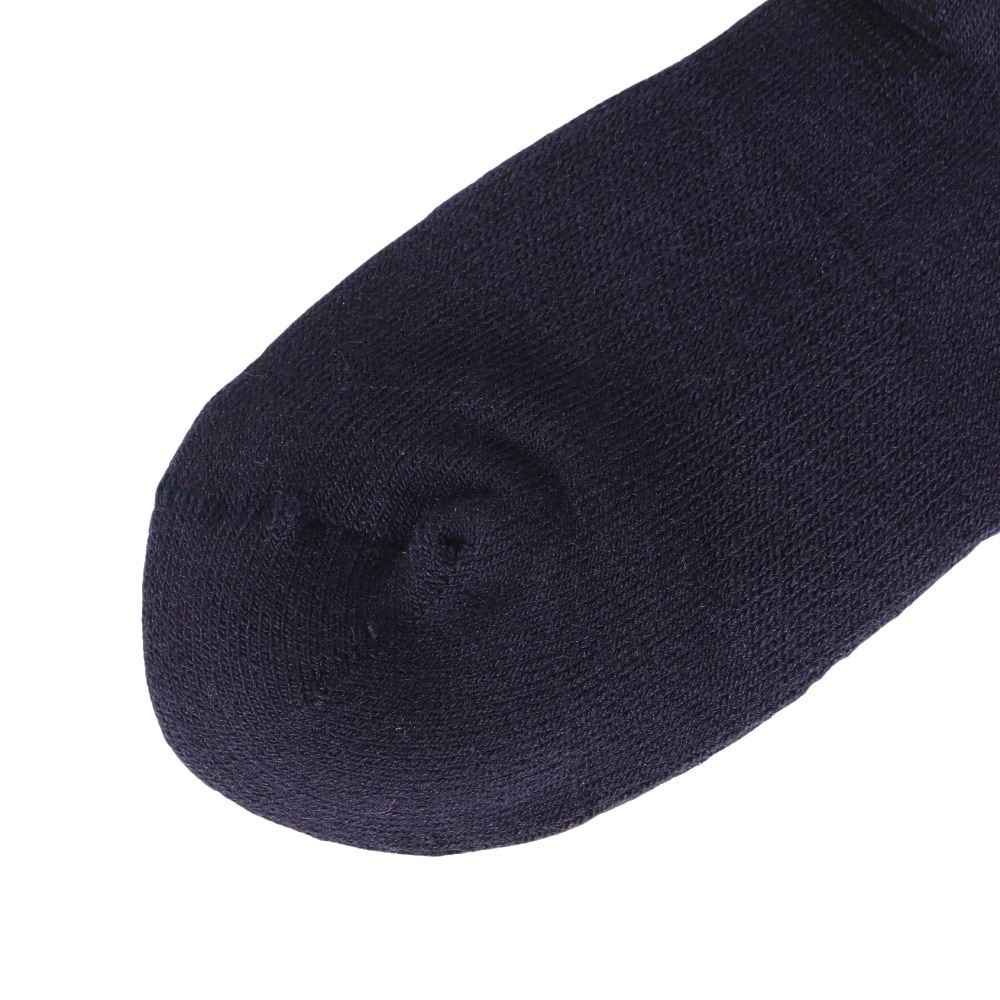 デサント（DESCENTE）（キッズ）ジュニア スキー ソックス DW4FSO60J NV00