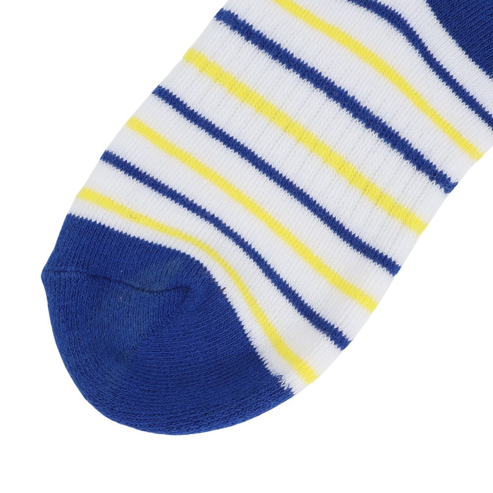 フェニックス（PHENIX）（キッズ）ジュニア マルチ ボーダー ソックス ESB24SO83 BLUE