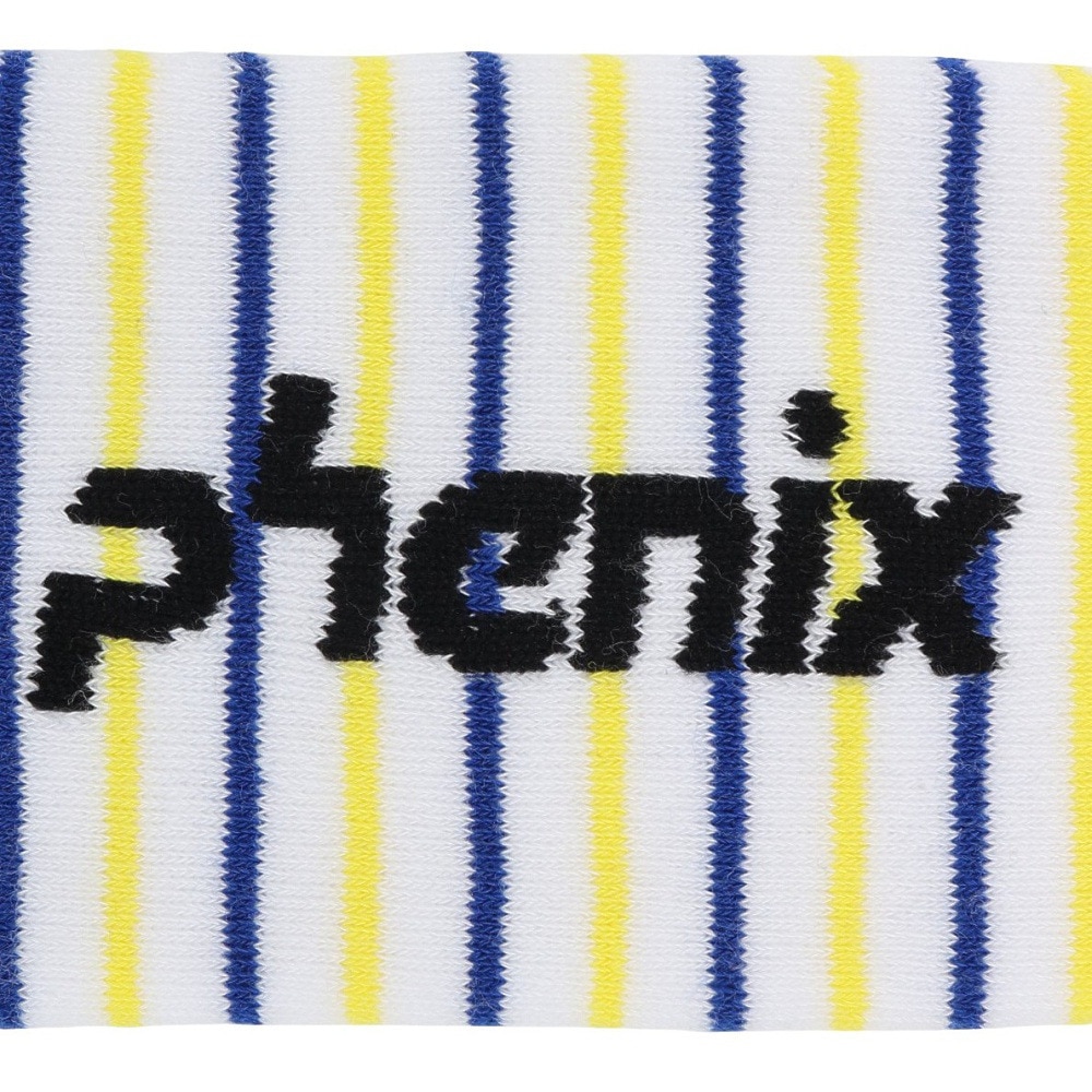 フェニックス（PHENIX）（キッズ）ジュニア マルチ ボーダー ソックス ESB24SO83 BLUE