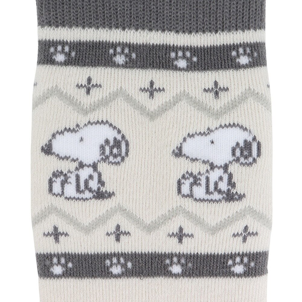 ベスプ（VESP）（キッズ）ジュニア ピーナッツ スキー ソックス SNJK1026GR