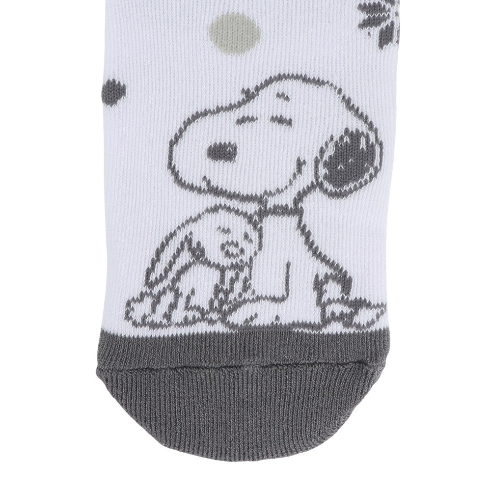 ベスプ（VESP）（キッズ）ジュニア ソックス SNJK1029GR
