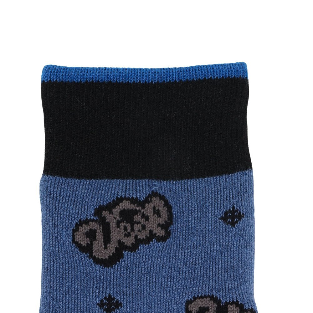 ベスプ（VESP）（キッズ）ジュニア ソックス VPJK1012INK
