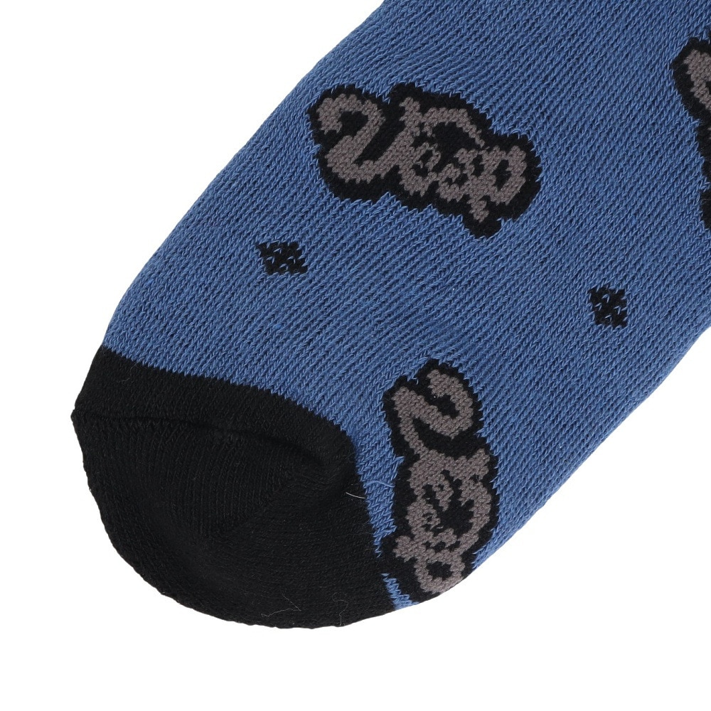 ベスプ（VESP）（キッズ）ジュニア ソックス VPJK1012INK
