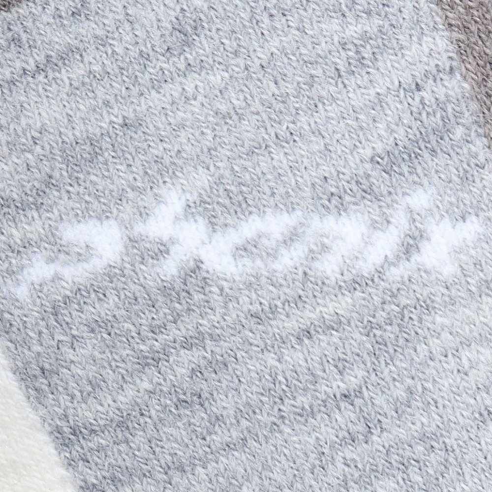 フェニックス（PHENIX）（キッズ）ジュニア ソックス ESB22SO10SILVER