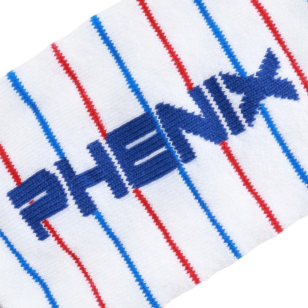 フェニックス（PHENIX）（キッズ）ジュニア ボーダー ソックス ESB22SO12WHITE