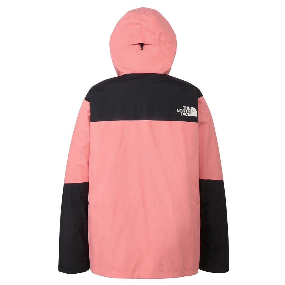 ザ・ノース・フェイス（THE NORTH FACE）（レディース）スノーバード