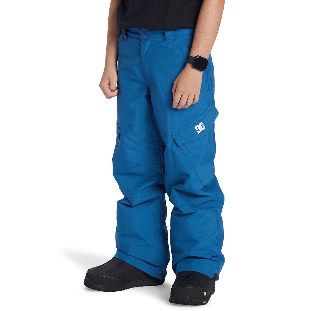 ディーシーシューズ（DC SHOES）（キッズ）ジュニア BANSHEE パンツ 25SN KPT243929BQP0