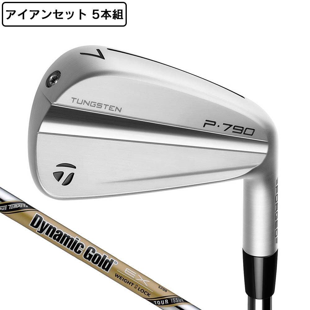 テーラーメイド（TAYLORMADE）（メンズ）P790 アイアンセット 5本(6I～9I、PW)Dynamic Gold EX TOUR ISSUE