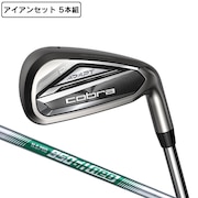 (メンズ)DS-ADAPT DSアダプト アイアンセット 5本(6I~9I、PW)N.S.PRO 950GH neo