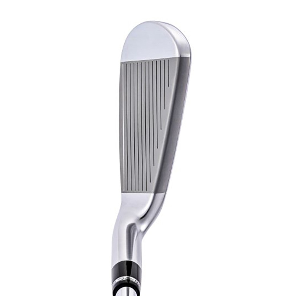 ロイヤルコレクション（ROYALCOLLECTION）（メンズ）AM-X アイアンセット 6本(5I～9I、PW)N.S.PRO 950GH neo