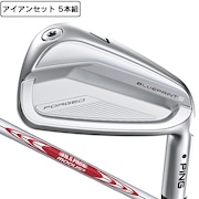 (メンズ)ブループリント S アイアンセット5本(6I~9I、PW)N.S.PRO MODUS3 TOUR 105