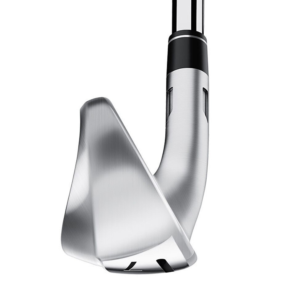 テーラーメイド（TAYLORMADE）（メンズ）ステルス HD アイアンセット 5本 (6I～9I、PW) TENSEI RED TM60