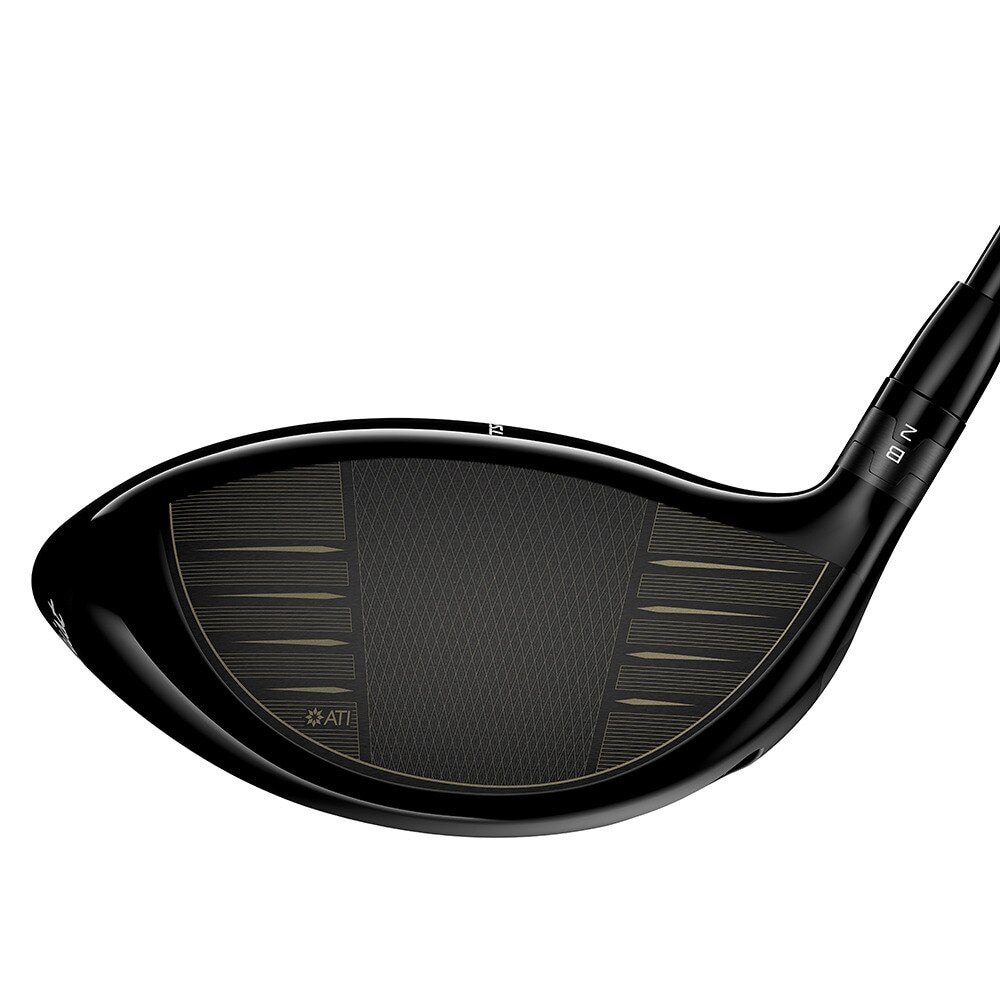 タイトリスト（TITLEIST）（メンズ）ゴルフクラブ メンズ TSi2 ドライバー (1W ロフト10度) TSP110 50 日本正規品★★★