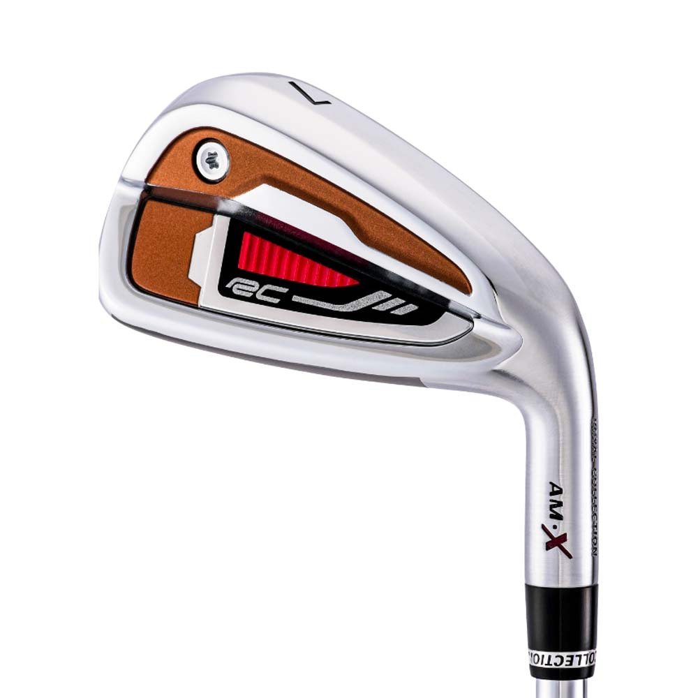 ロイヤルコレクション（ROYALCOLLECTION）（メンズ）AM-X アイアン(5I ロフト21度)N.S.PRO 950GH neo