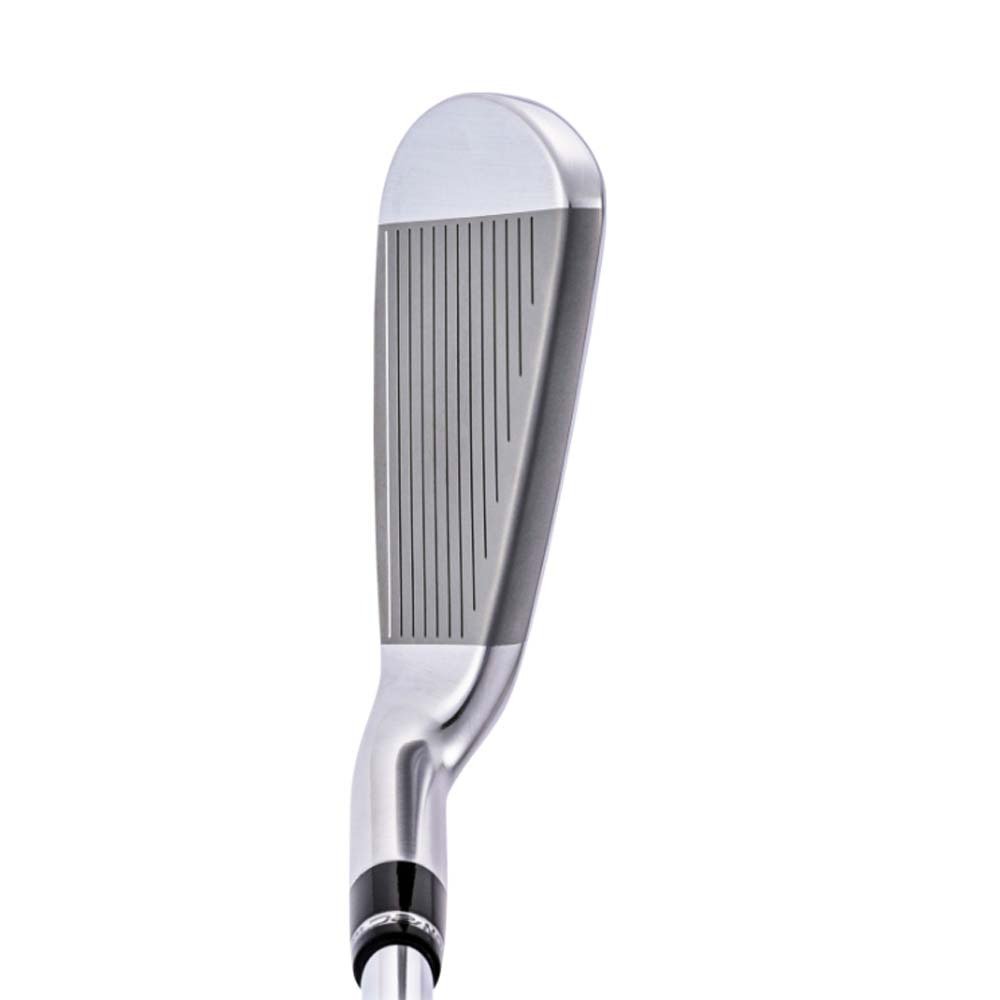 ロイヤルコレクション（ROYALCOLLECTION）（メンズ）AM-X アイアン(5I ロフト21度)N.S.PRO 950GH neo