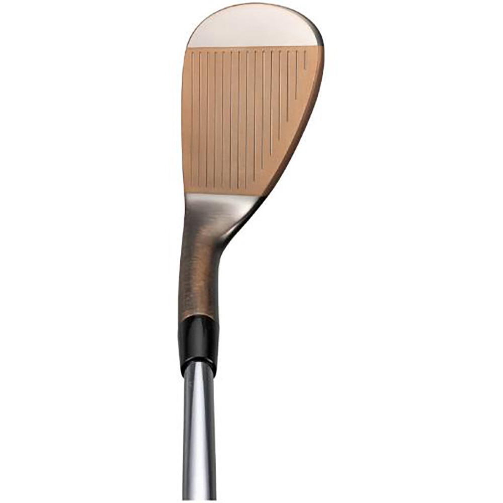 ミズノ（MIZUNO）（メンズ）T22 ウェッジ(ロフト54度)Dynamic Gold HT
