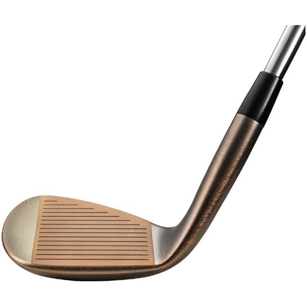 ミズノ（MIZUNO）（メンズ）T22 ウェッジ(ロフト56度)Dynamic Gold HT