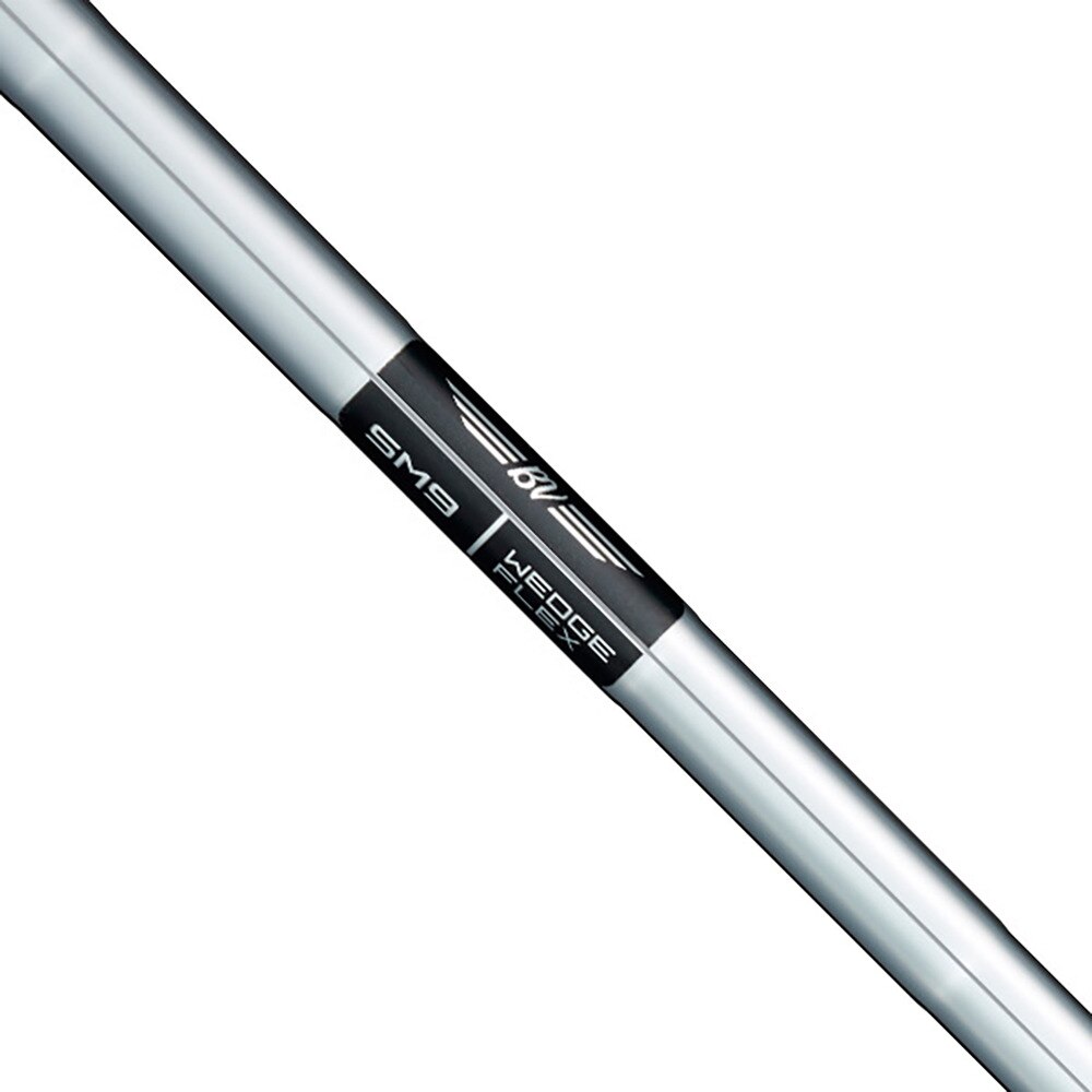 タイトリスト（TITLEIST）（メンズ）SM9 ウェッジ(4810F、ロフト48度)Dynamic Gold