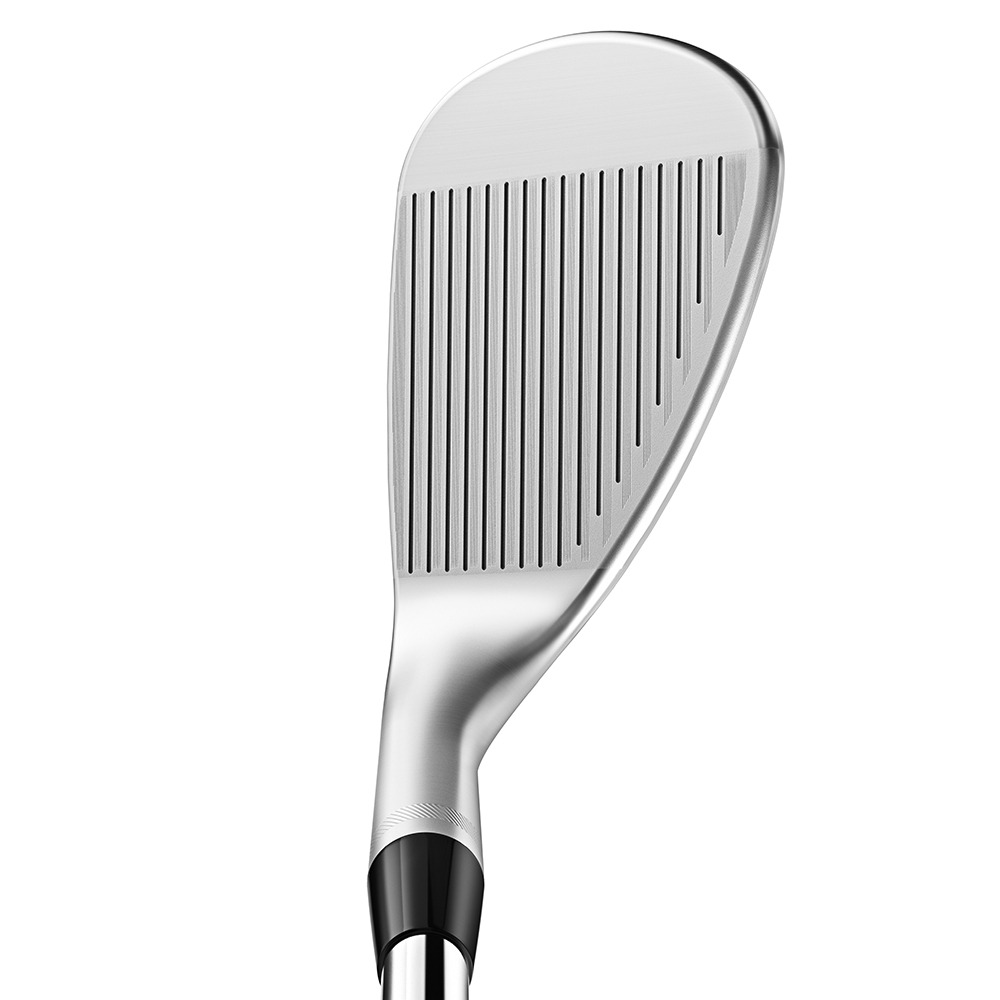 タイトリスト（TITLEIST）（メンズ）VOKEY SM10 ウェッジ(5008F、ロフト50度)Dynamic Gold