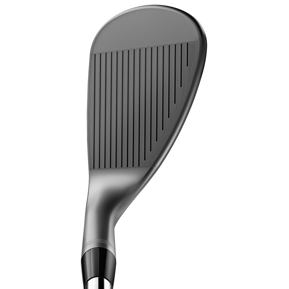 タイトリスト（TITLEIST）（メンズ）VOKEY SM10 ALL-NEW NICKEL ウェッジ(4810F、ロフト48度)N.S.PRO 950GH neo
