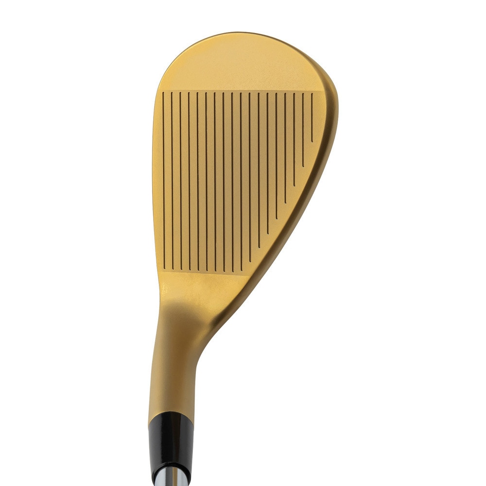 キャスコ（KASCO）（メンズ）ドルフィンウェッジ DW-123 Gold(5807 ロフト58度)Dynamic Gold 95