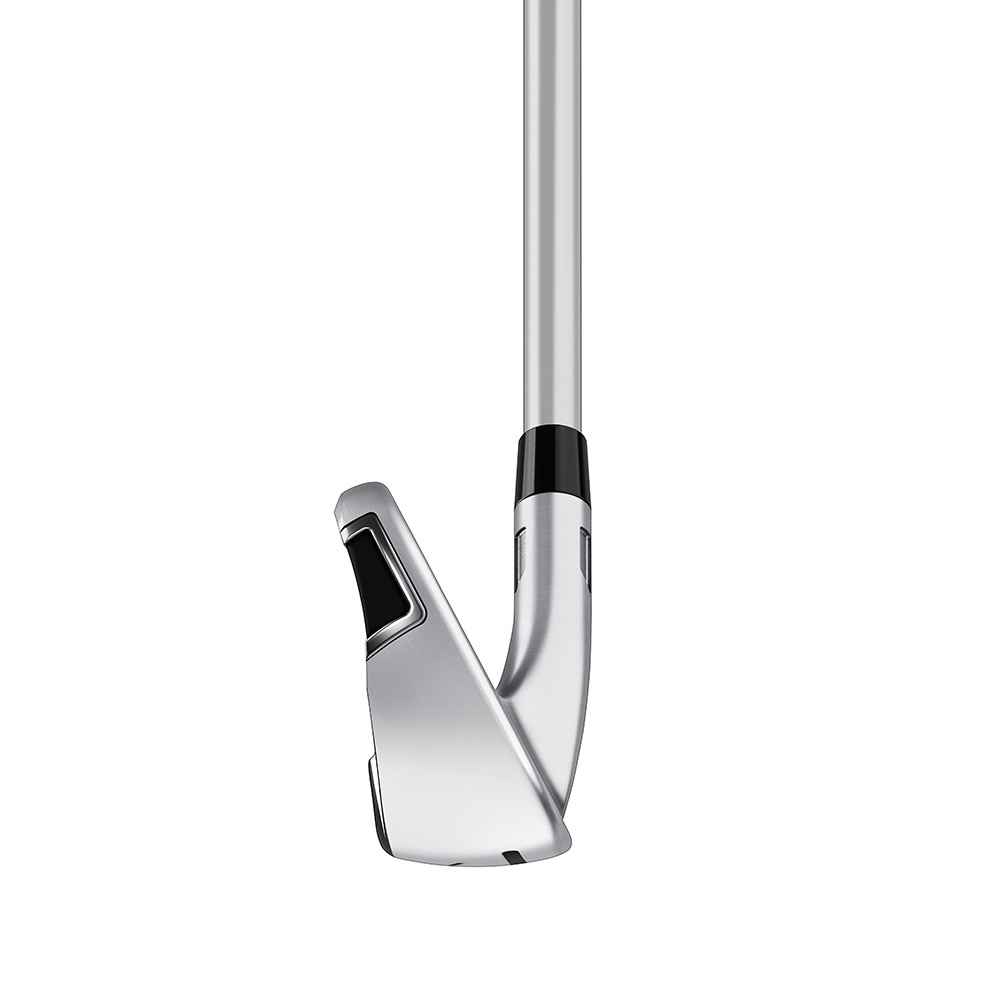 テーラーメイド（TAYLORMADE）（レディース）Qi アイアン(6I ロフト24度)ELDIO TM40