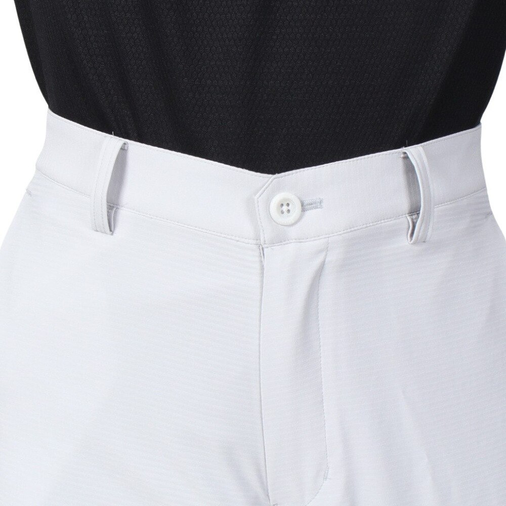 スリクソン（SRIXON）（メンズ）ゴルフウェア 撥水 ストレッチ シャドーストライプロングパンツ RGMVJD02 GY02