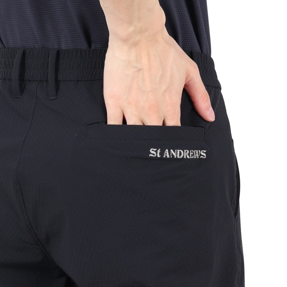セントアンドリュース（ST.ANDREWS）（メンズ）ゴルフウェア ナイロンドビー ストレッチパンツ 042-5131551-120