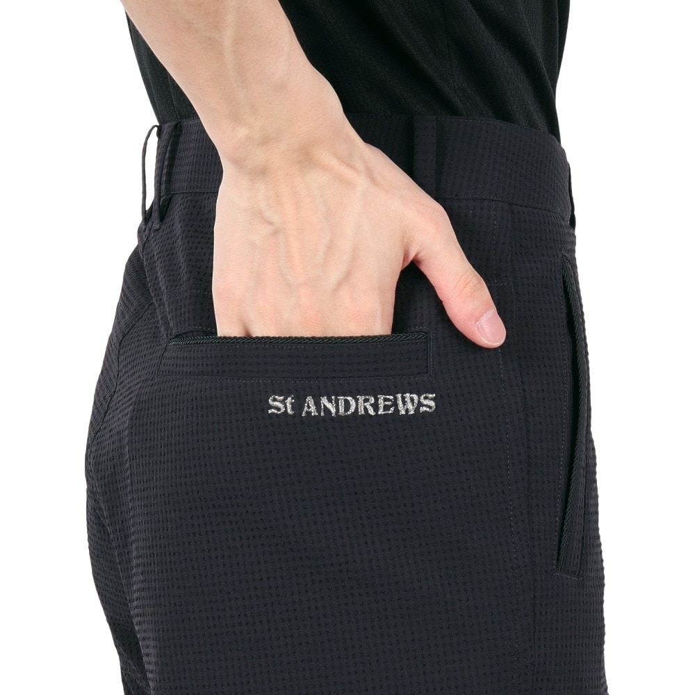 セントアンドリュース（ST.ANDREWS）（メンズ）ゴルフウェア TEXBRID サッカーストレッチパンツ 042-5131553-120