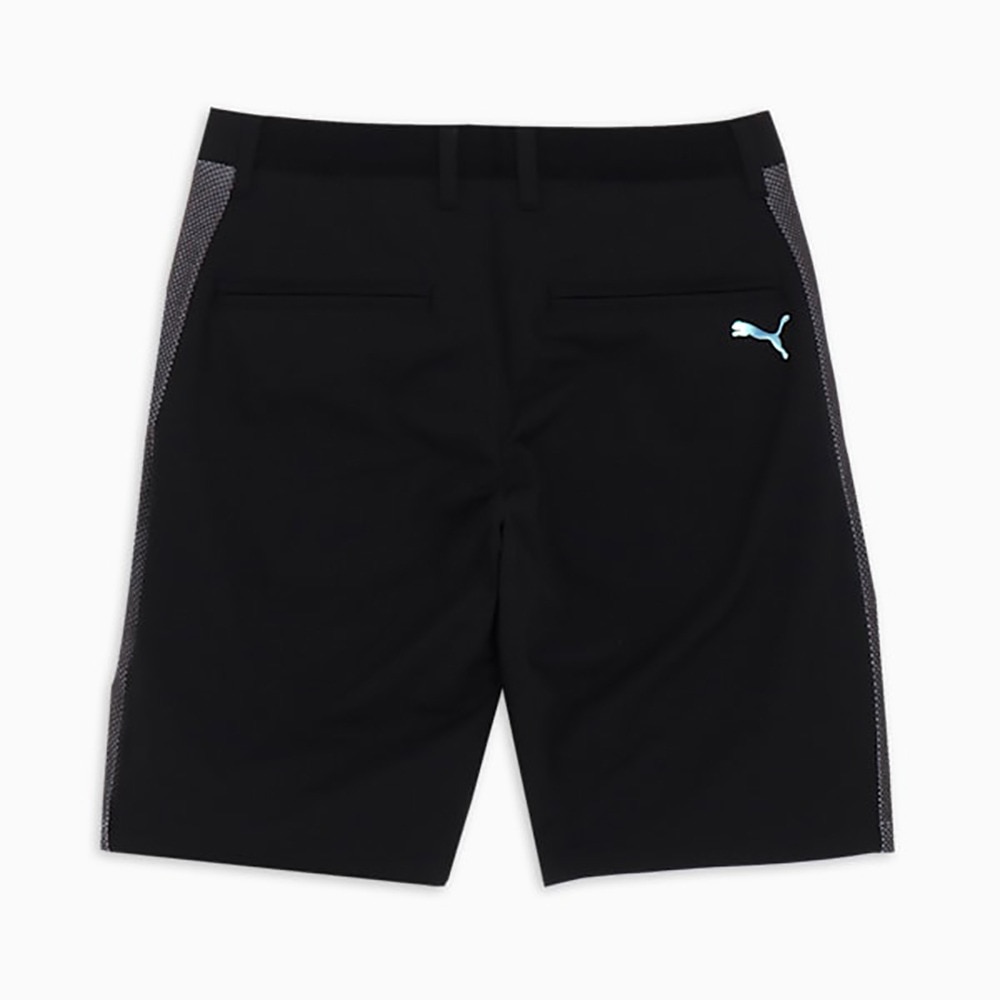 プーマ（PUMA）（メンズ）ゴルフウェア ゴルフ PF テックライン