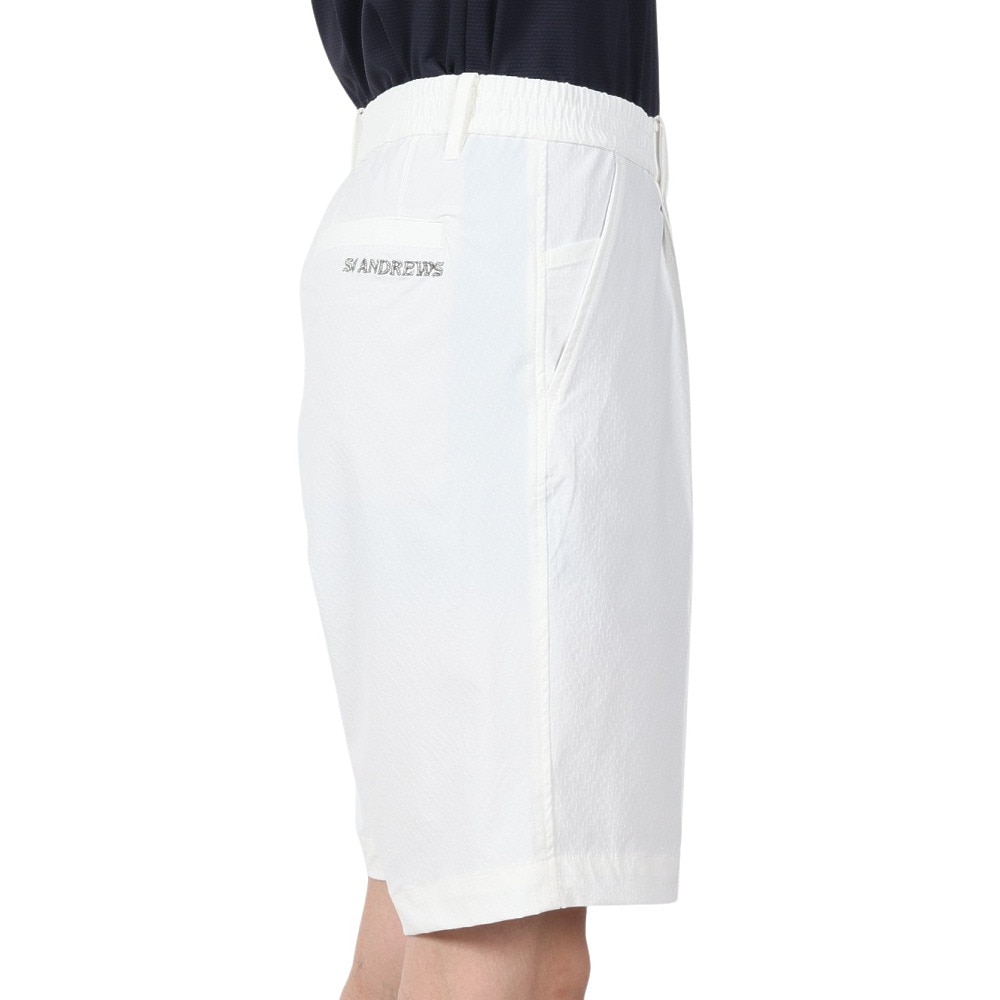 セントアンドリュース（ST.ANDREWS）（メンズ）ゴルフウェア ナイロンドビー ストレッチショートパンツ 042-5132551-030