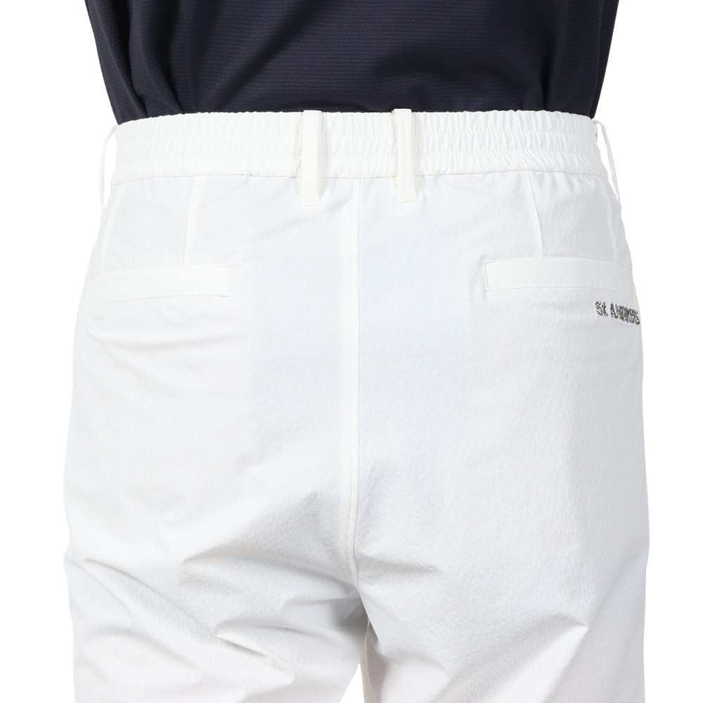 セントアンドリュース（ST.ANDREWS）（メンズ）ゴルフウェア ナイロンドビー ストレッチショートパンツ 042-5132551-030