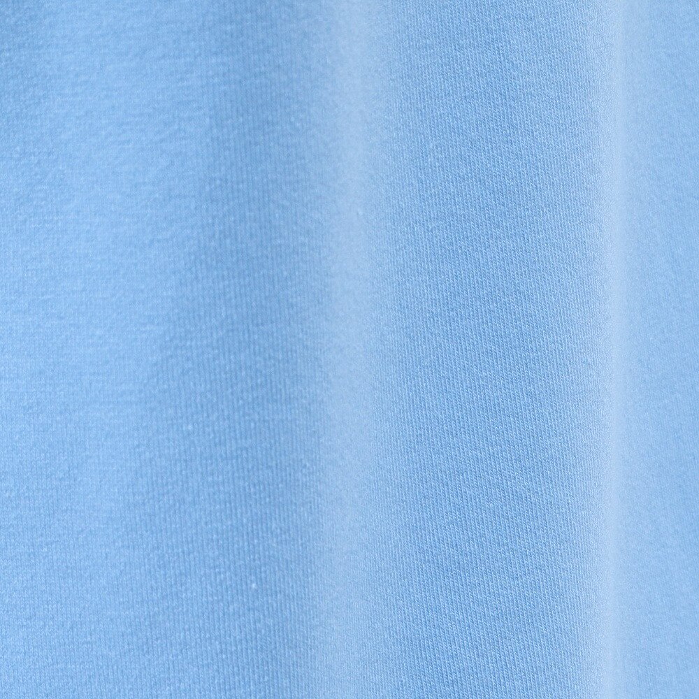 セントアンドリュース（ST.ANDREWS）（メンズ）ゴルフウェア ベア天竺 長袖 ハイネックカットソー 042-5266951-110