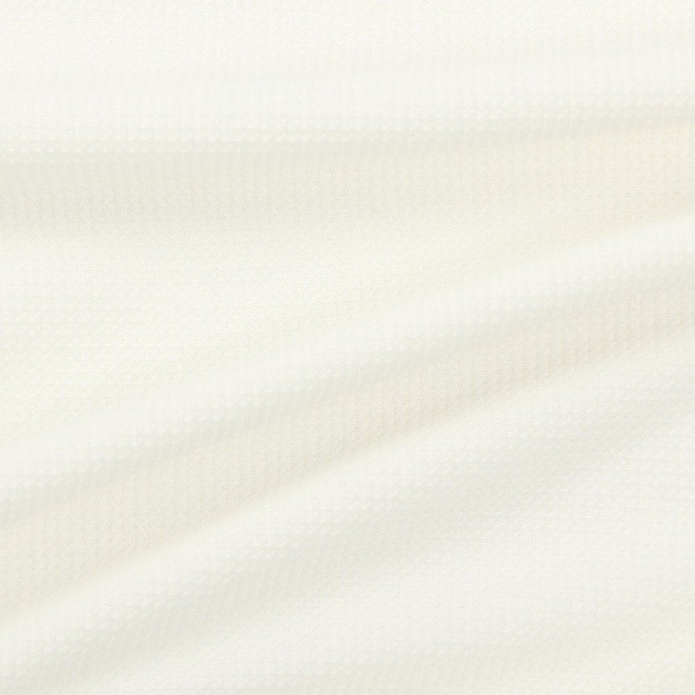 チャンピオン（CHAMPION）（メンズ）ゴルフウェア 長袖 ロングスリーブモックネックシャツ 26SS C3-DG401 020