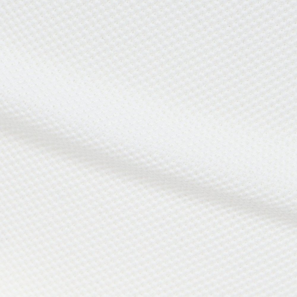 ピン（PING）（メンズ）ゴルフウェア PE 鹿の子 半袖ポロシャツ 621-6160311-030