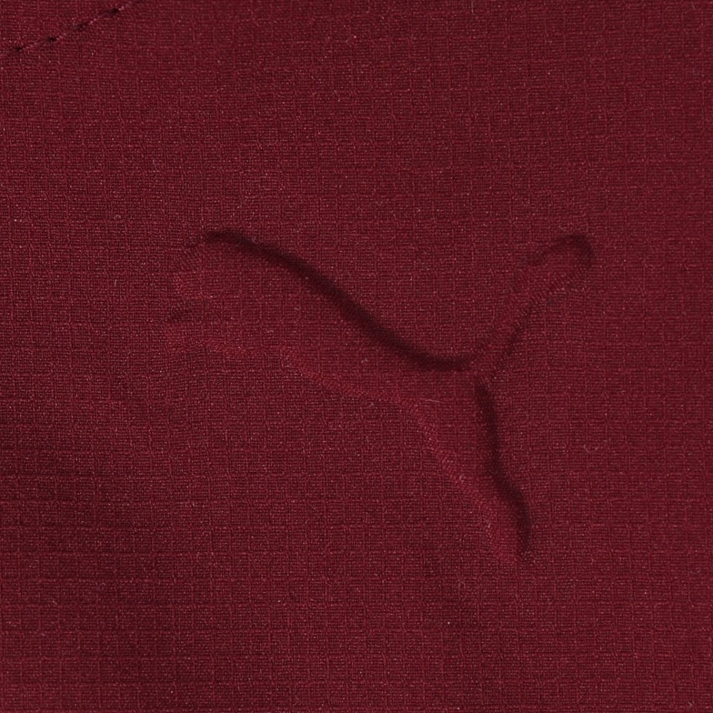 プーマ（PUMA）（メンズ）ゴルフウェア 長袖パーカー PGC フーディー 694439-03