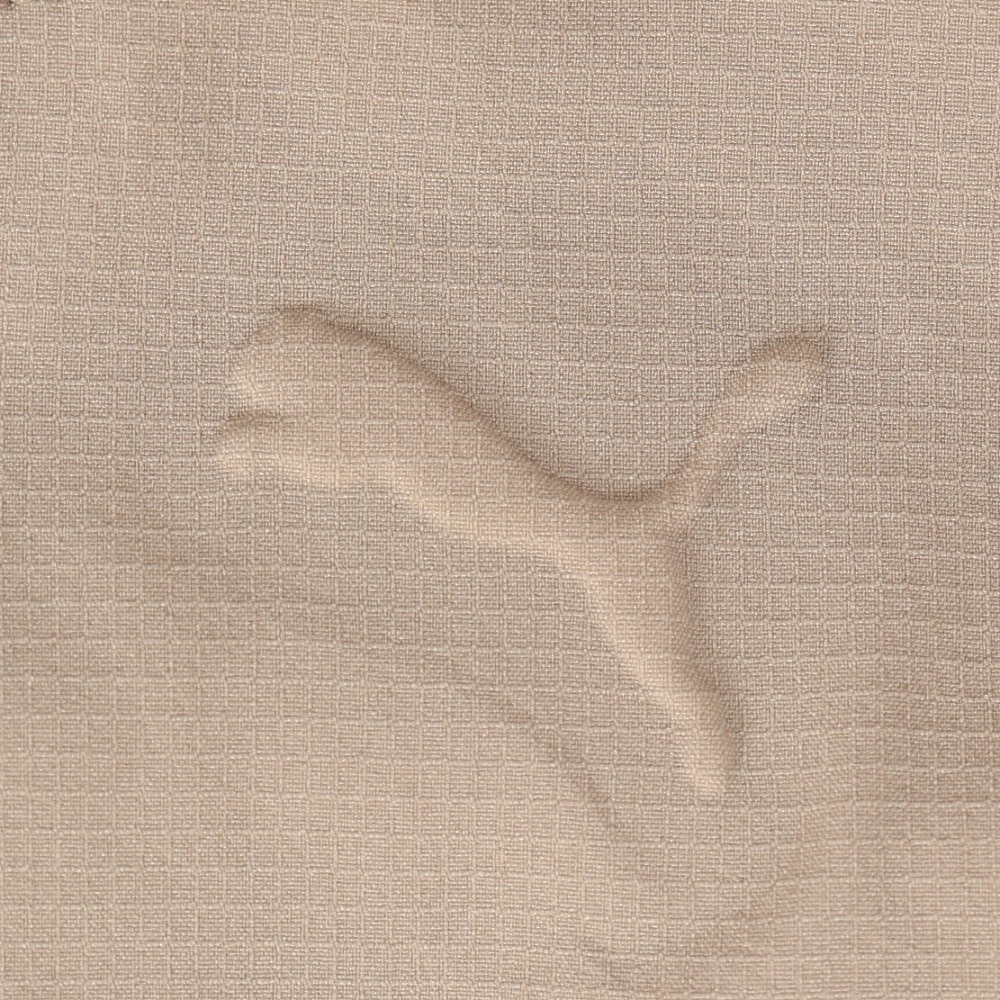 プーマ（PUMA）（メンズ）ゴルフウェア 長袖パーカー PGC フーディー 694439-04