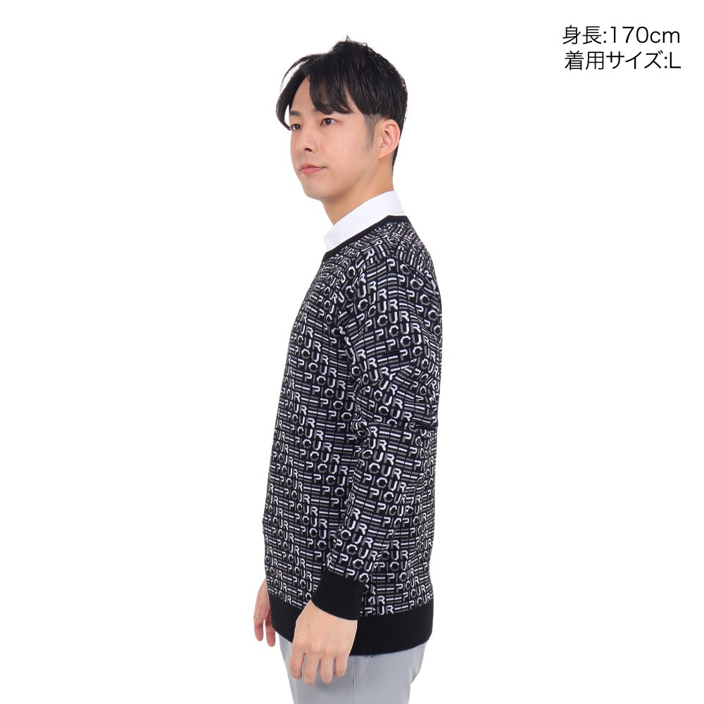 エピキュール（epicure）（メンズ）ゴルフウェア 長袖 WJQクルーネックプルオーバー 151-19013-019