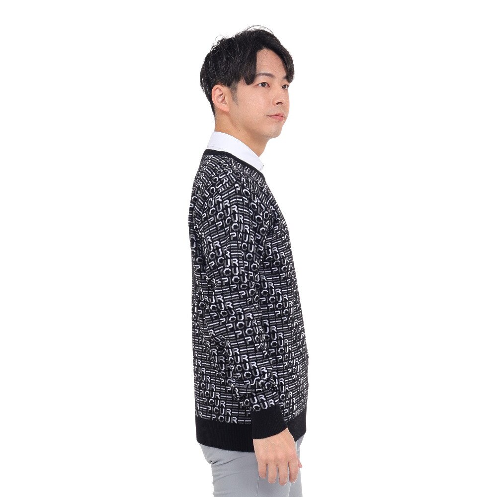 エピキュール（epicure）（メンズ）ゴルフウェア 長袖 WJQクルーネックプルオーバー 151-19013-019