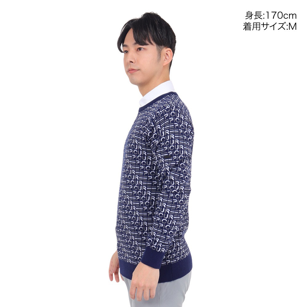 エピキュール（epicure）（メンズ）ゴルフウェア WJQクルーネック 長袖 プルオーバー 151-19013-098