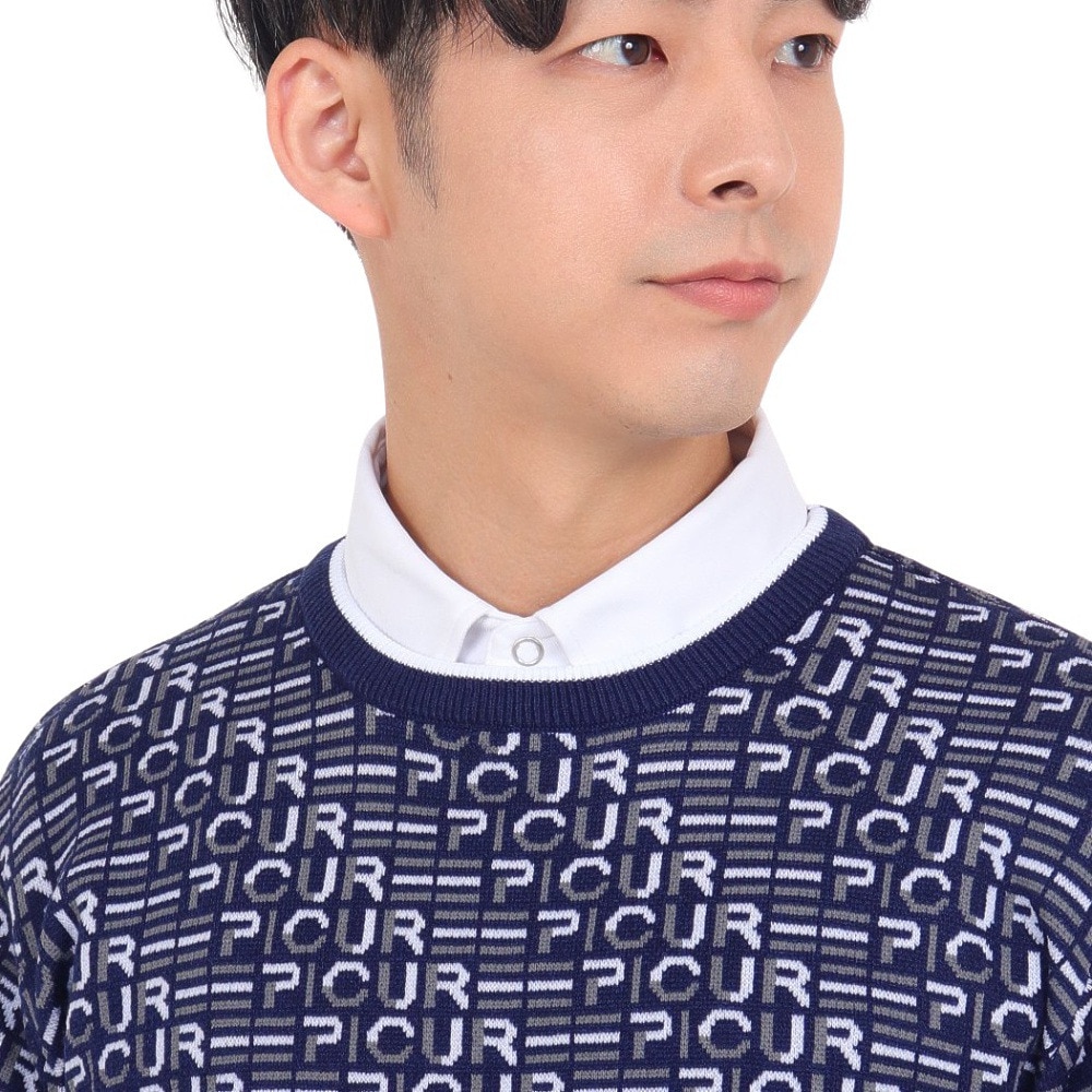 エピキュール（epicure）（メンズ）ゴルフウェア WJQクルーネック 長袖 プルオーバー 151-19013-098