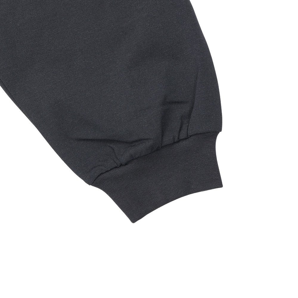 プリセプト（PRECEPT）（メンズ）ゴルフウェア 長袖 天竺 Tシャツ PRUK24F030010 BLK