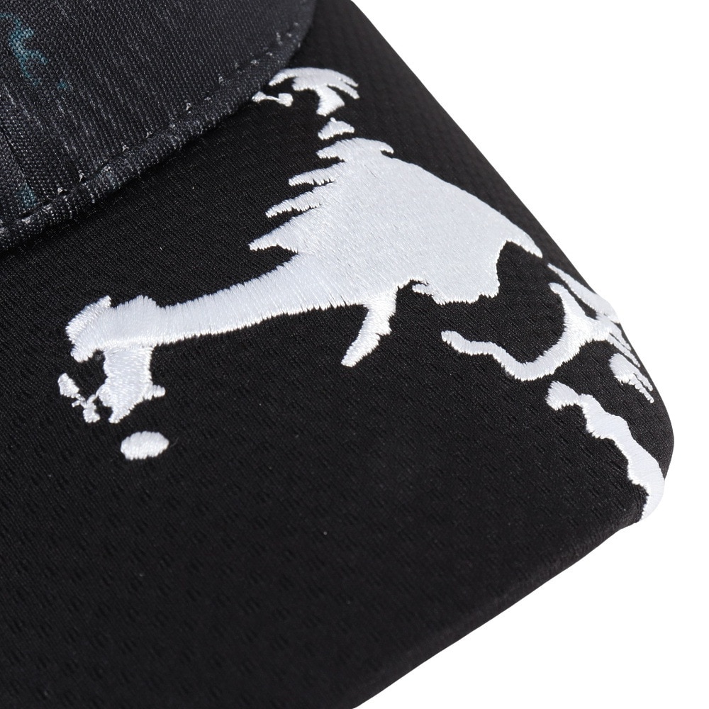 オークリー（OAKLEY）（メンズ）ゴルフ SKULL GRAPHIC キャップ FOS901703-00G
