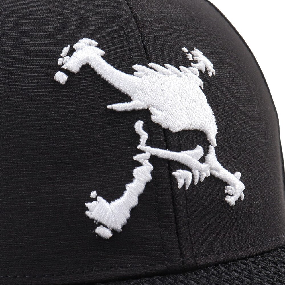 オークリー（OAKLEY）（メンズ）ゴルフ SKULL BRIM LOGO キャップ FOS901705-02E