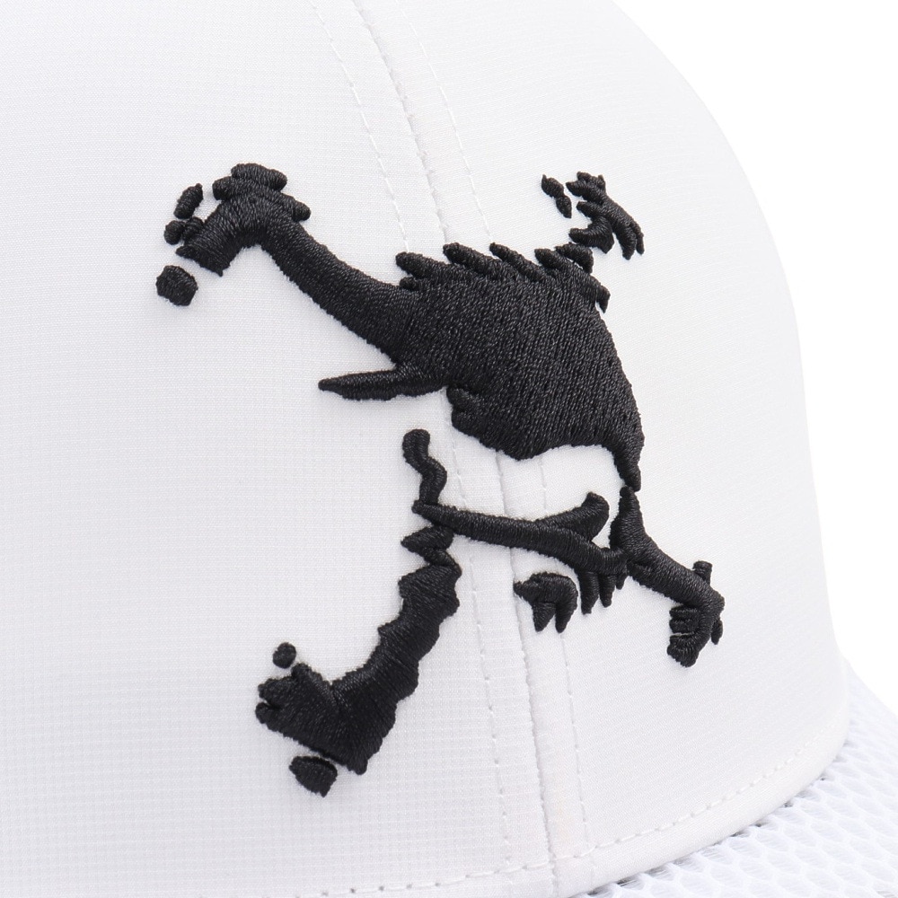オークリー（OAKLEY）（メンズ）ゴルフ SKULL BRIM LOGO キャップ FOS901705-100
