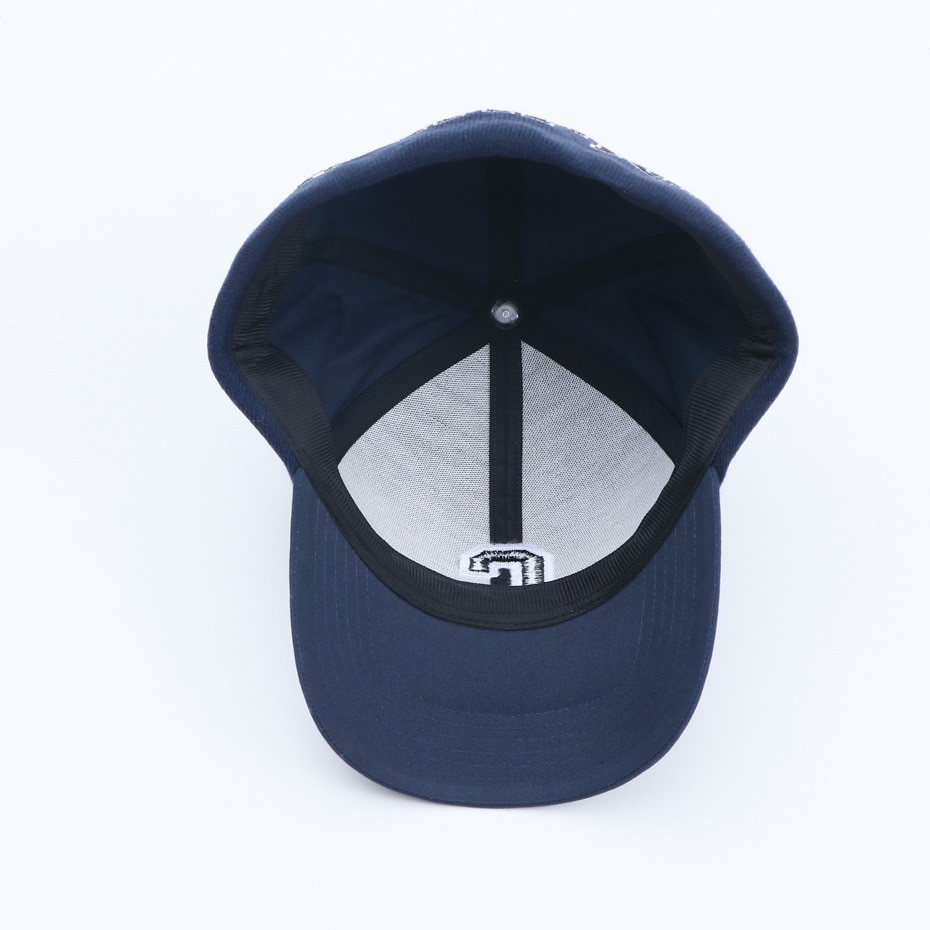 チャンピオン（CHAMPION）（メンズ）ゴルフ キャップ C3-AG705C 370