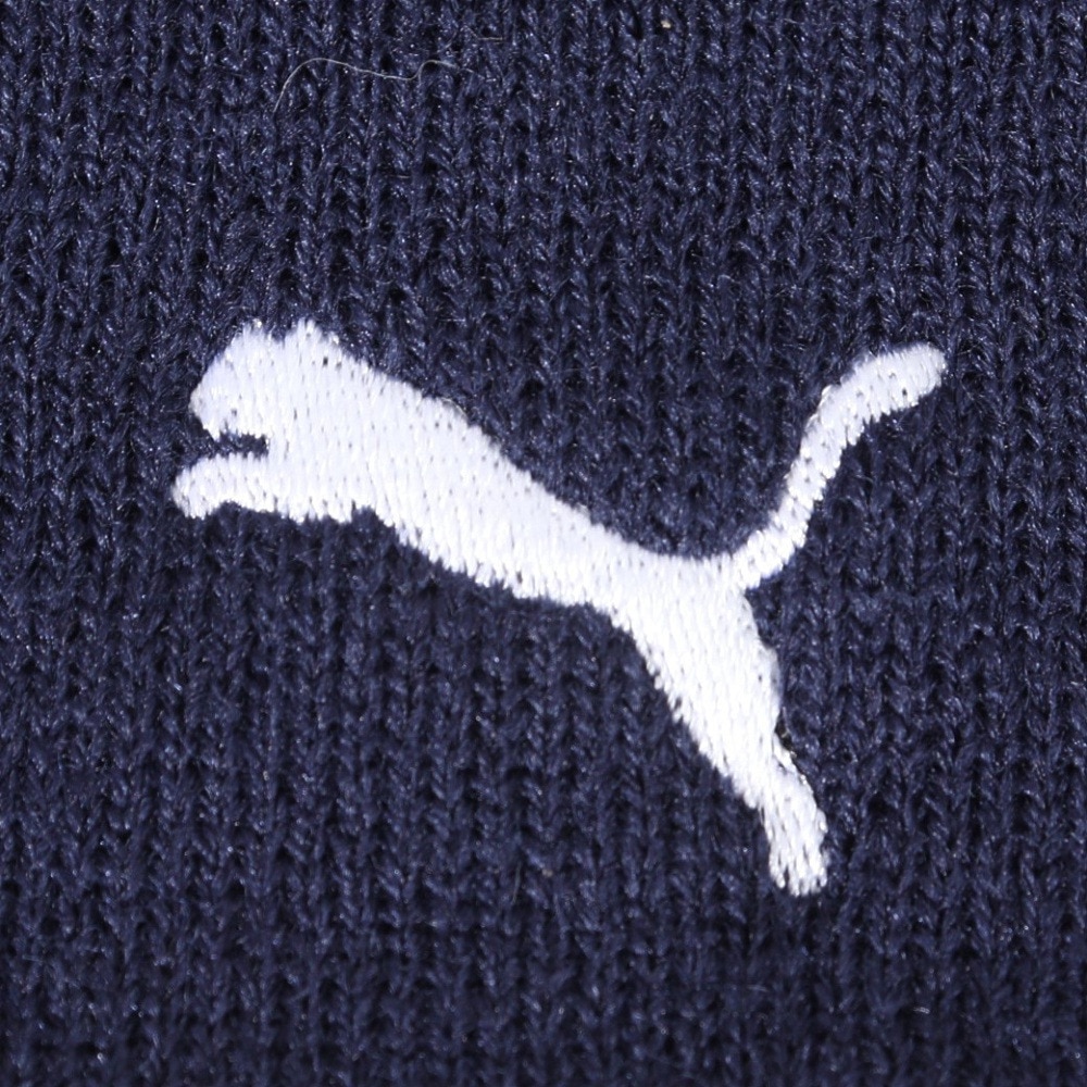 プーマ（PUMA）（メンズ）ゴルフ ニット帽 リバーシブル グラフィック ビーニー 025303-02