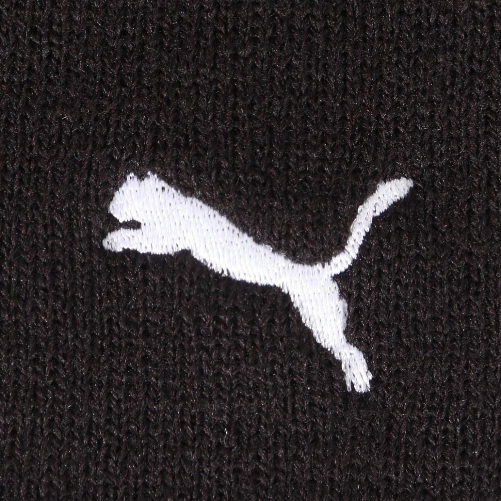 プーマ（PUMA）（メンズ）ゴルフ ニット帽 リバーシブル グラフィック ビーニー 025303-01