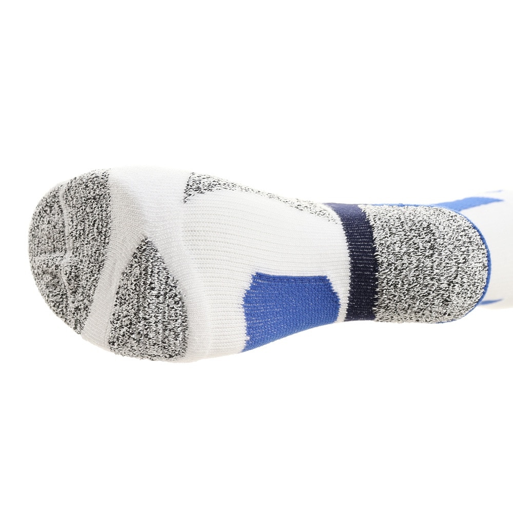 フットジョイ（FOOT JOY）（メンズ）ゴルフ 抗菌防臭 ナノロックテック クルーソックス WT/BL/NV FJSK146WT