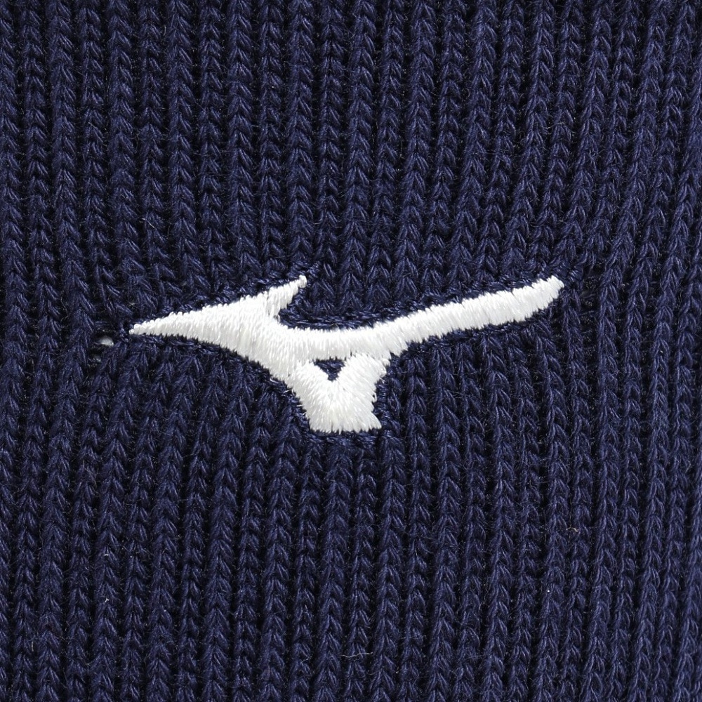 ミズノ（MIZUNO）（メンズ）ゴルフ 抗菌防臭 ハイパーイオンプラス レギュラー丈 ソックス E2JXA00214